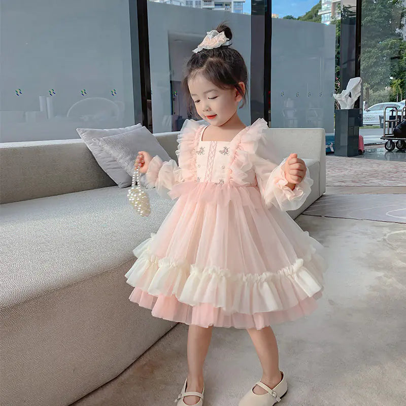 Cute Embroidered Mesh Puff Dress for Girls