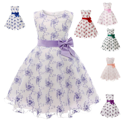 Embroidered Lace Princess Dress for Girls