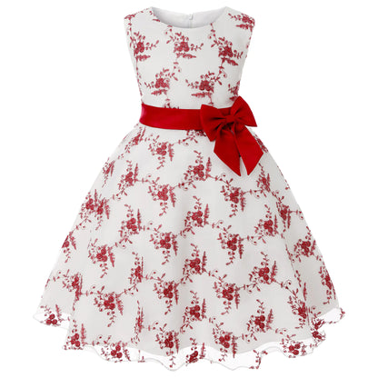 Embroidered Lace Princess Dress for Girls