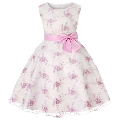 Embroidered Lace Princess Dress for Girls