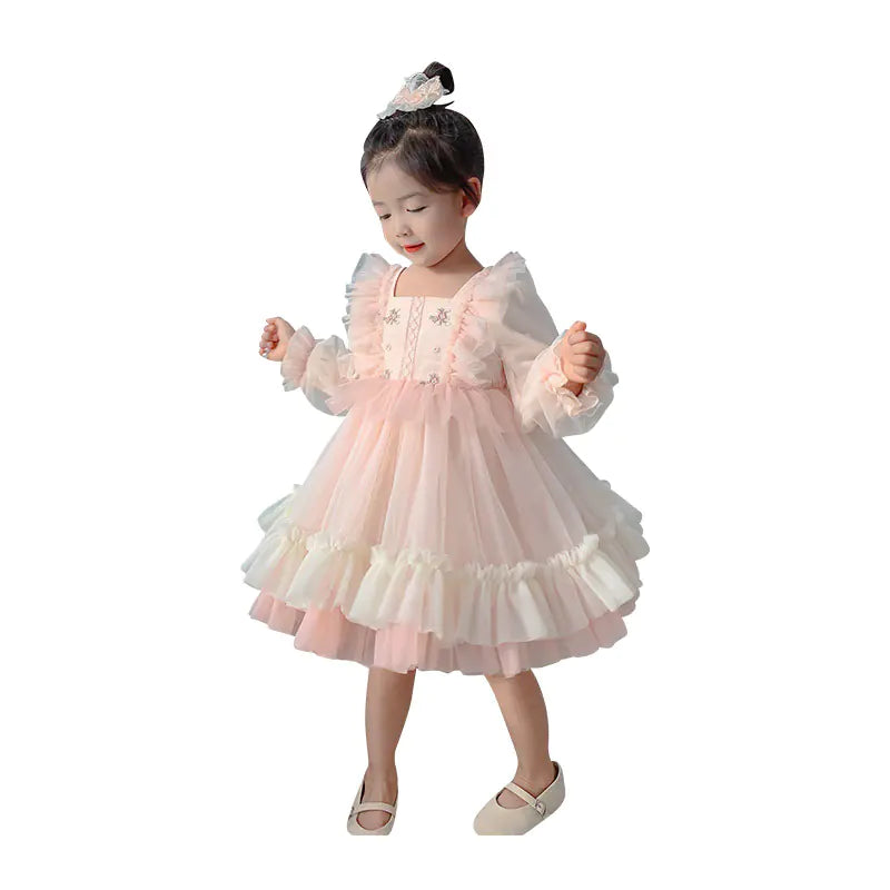 Cute Embroidered Mesh Puff Dress for Girls