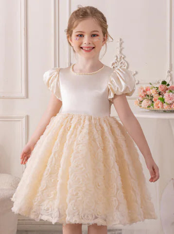 Autumn Baby Dress with Rose Flower Design