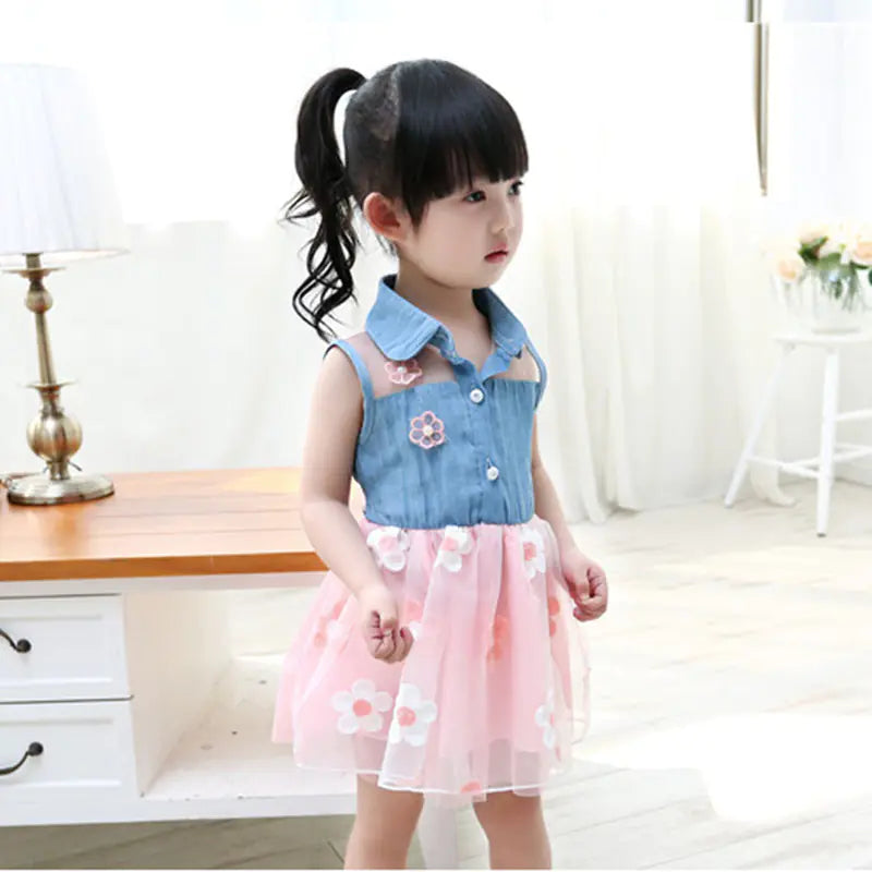 Children's Clothing, Dress, Denim Skirt