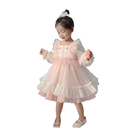 Cute Embroidered Mesh Puff Dress for Girls